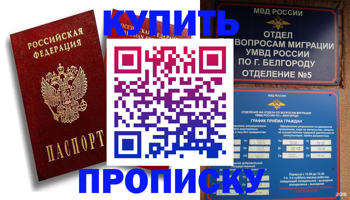 прописка иностранных граждан в Ялте